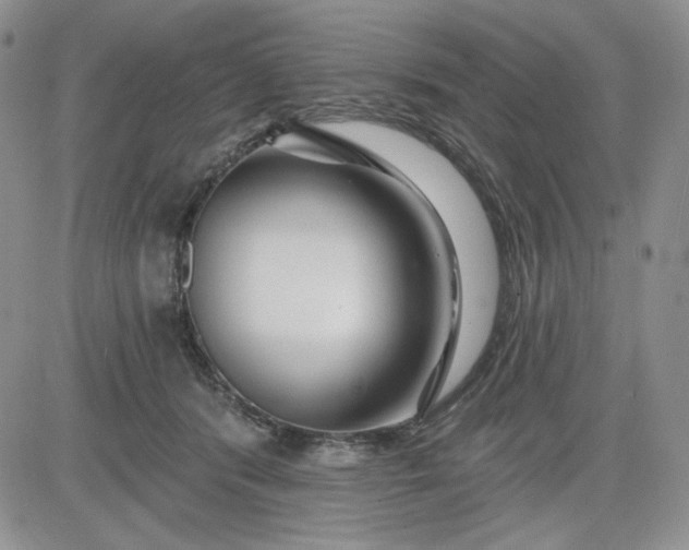 X0000081420416200701261559