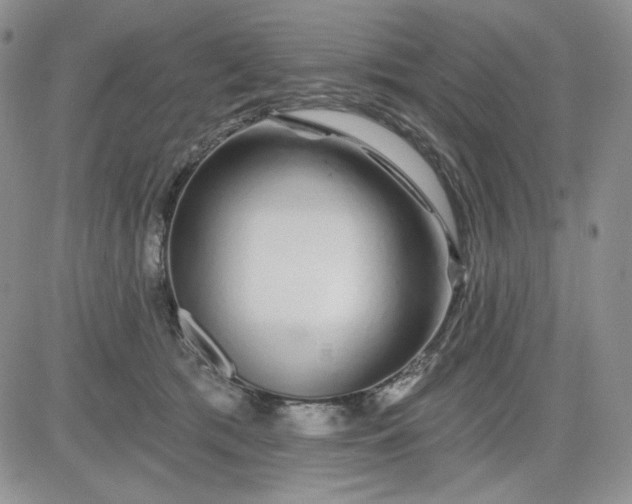 X0000081420417200701261559