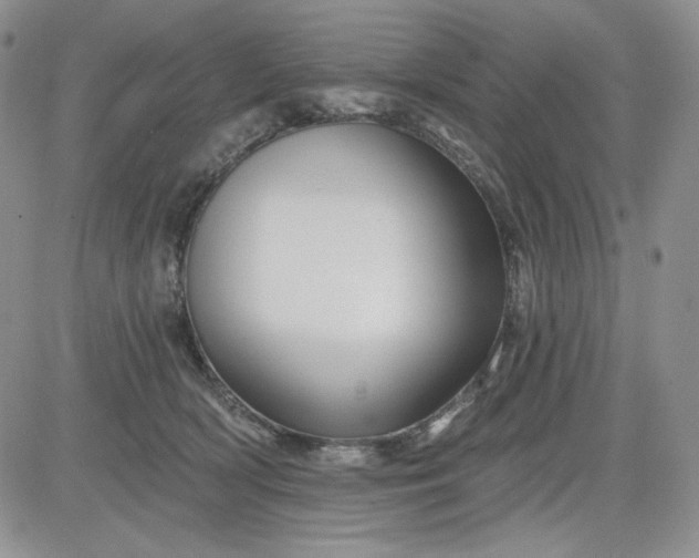 X0000081420418200701261559