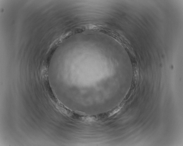 X0000081420419200701261559