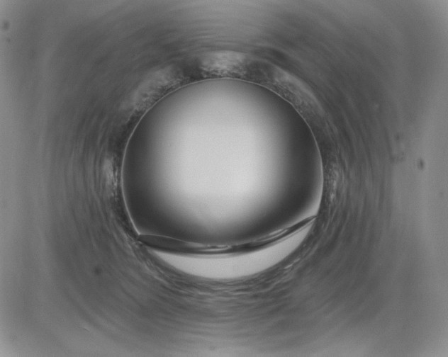 X0000081420420200701261559