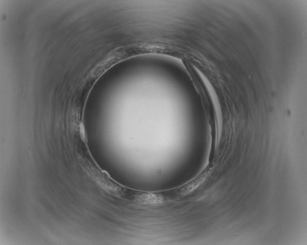 X0000081420421200701261559