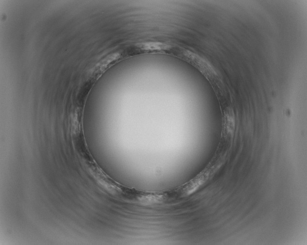 X0000081420422200701261559