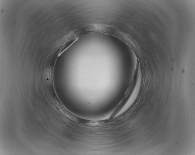 X0000081420425200701261558