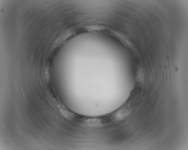 X0000081420426200701261558