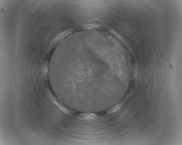 X0000081420427200701261558