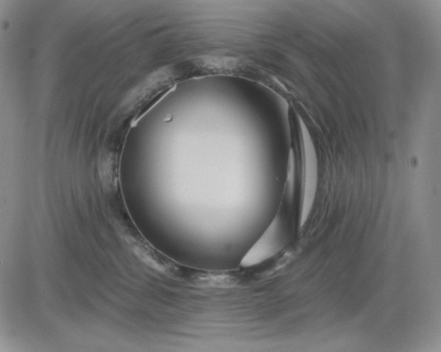 X0000081420428200701261558