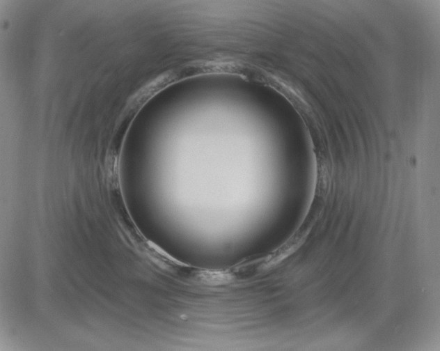 X0000081420429200701261558