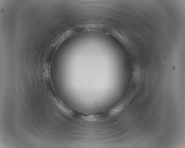 X0000081420430200701261558