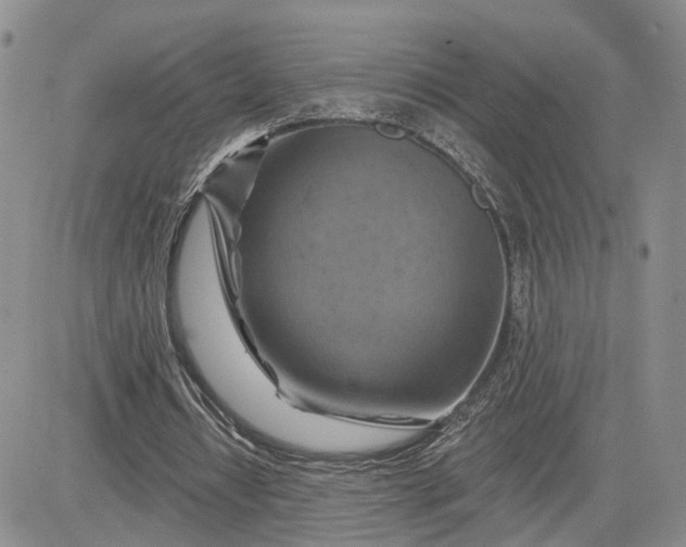 X0000081420434200701261558