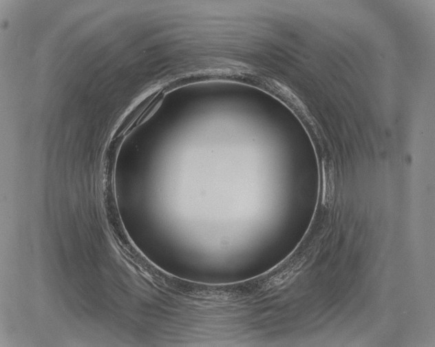 X0000081420435200701261558