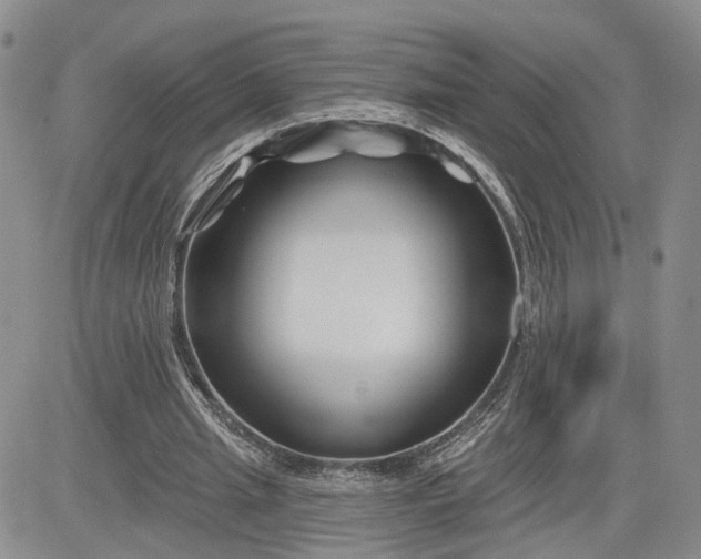 X0000081420437200701261558