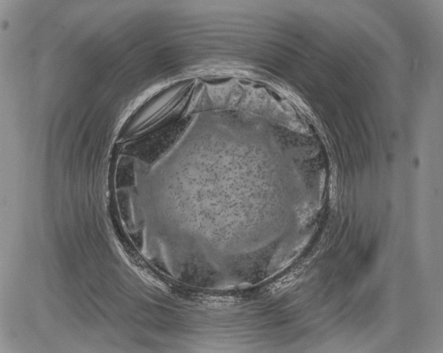 X0000081420438200701261558