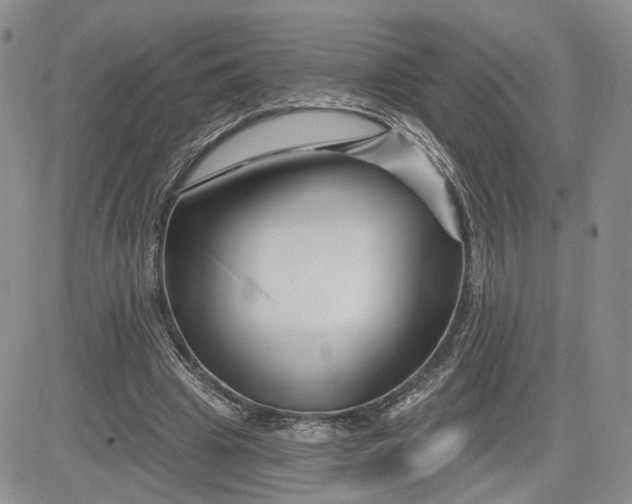 X0000081420441200701261558