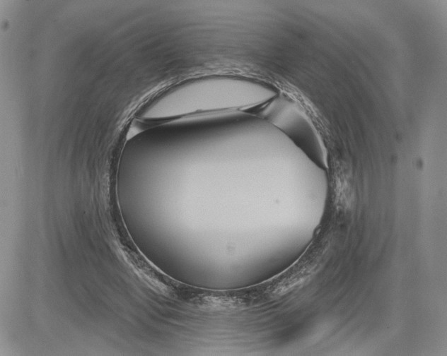 X0000081420442200701261558