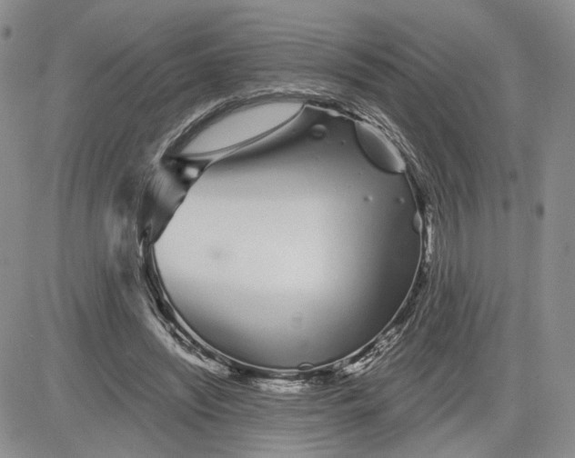 X0000081420444200701261558