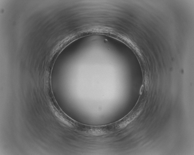 X0000081420445200701261558