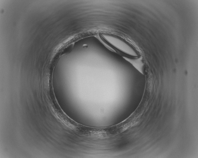 X0000081420446200701261558