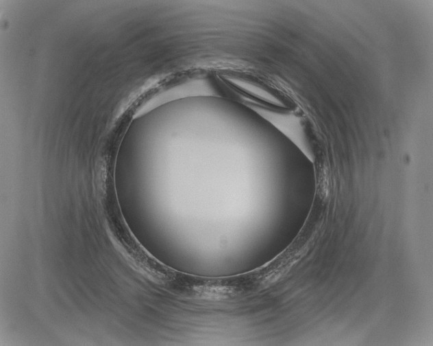 X0000081420448200701261558