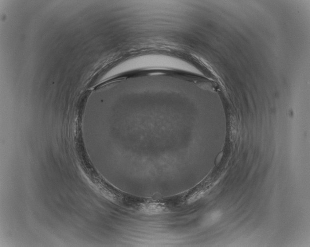 X0000081420451200701261558