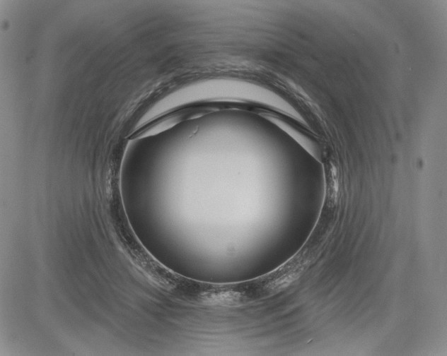 X0000081420452200701261558