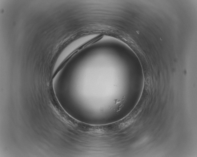 X0000081420454200701261558