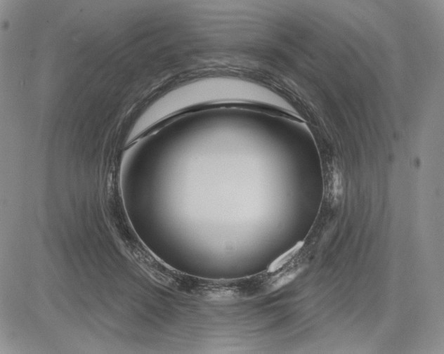 X0000081420456200701261558