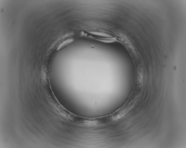 X0000081420457200701261558