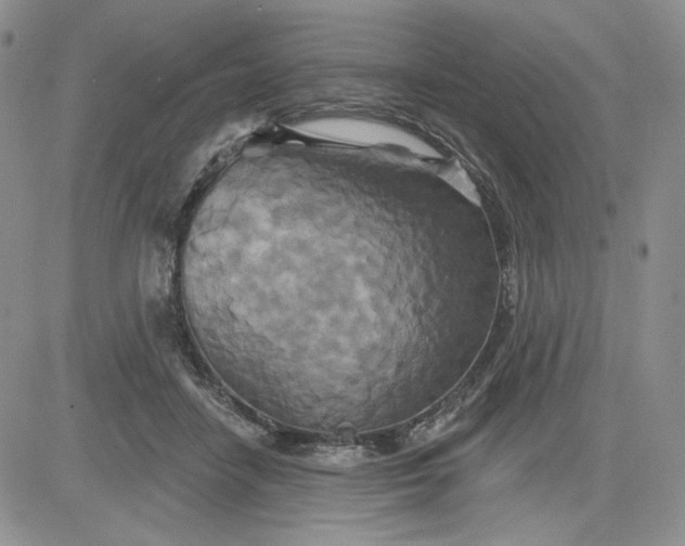 X0000081420458200701261558