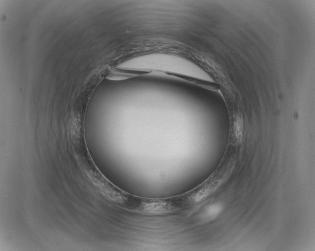 X0000081420461200701261558