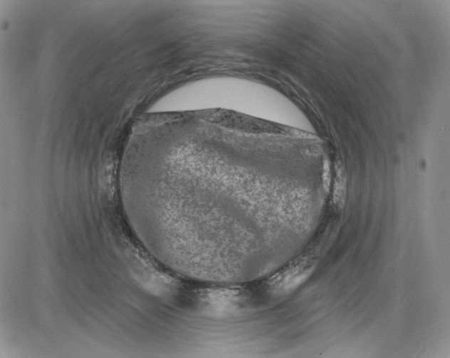 X0000081420462200701261558