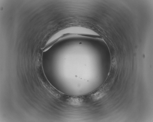 X0000081420464200701261558