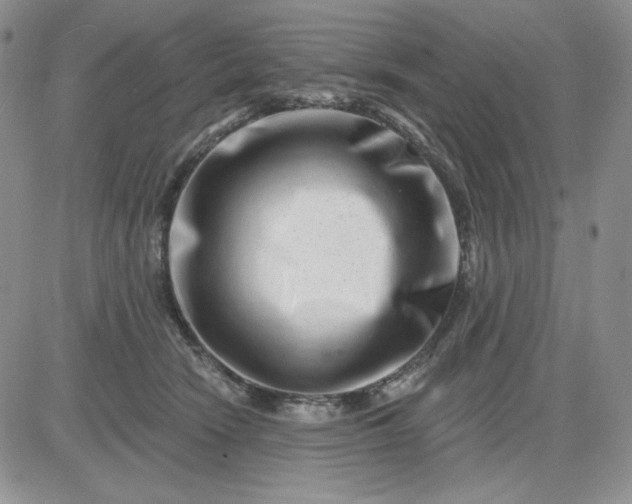 X0000081420466200701261558