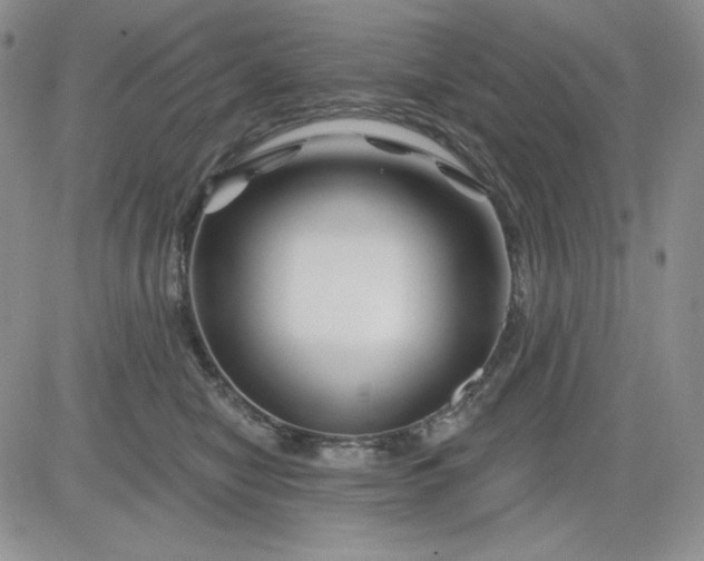 X0000081420470200701261558