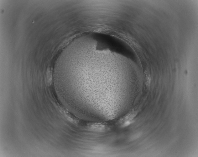 X0000081420471200701261558