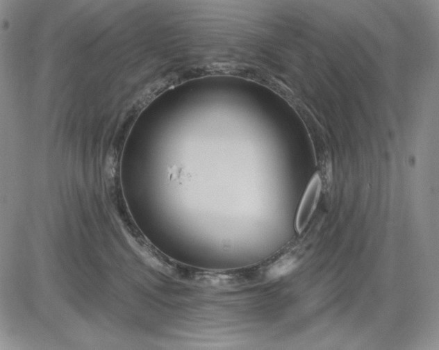 X0000081420472200701261558