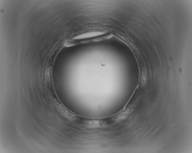 X0000081420473200701261558