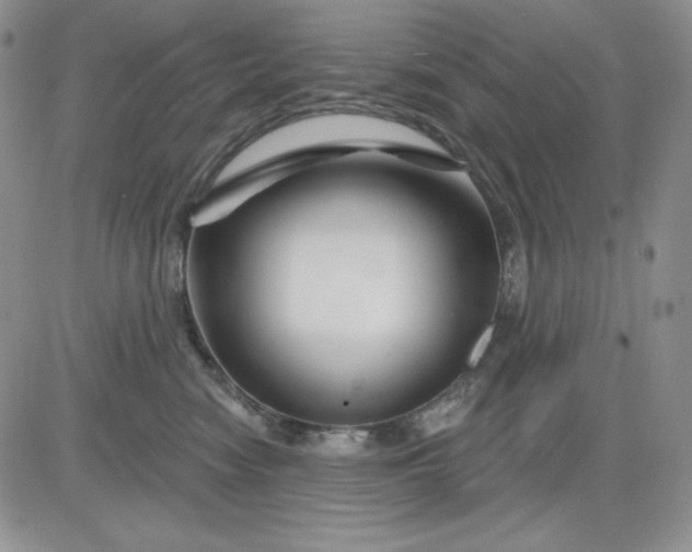 X0000081420474200701261558