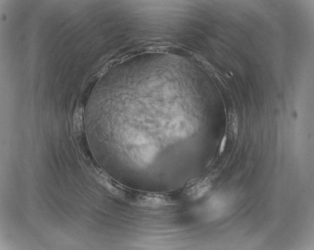 X0000081420475200701261558