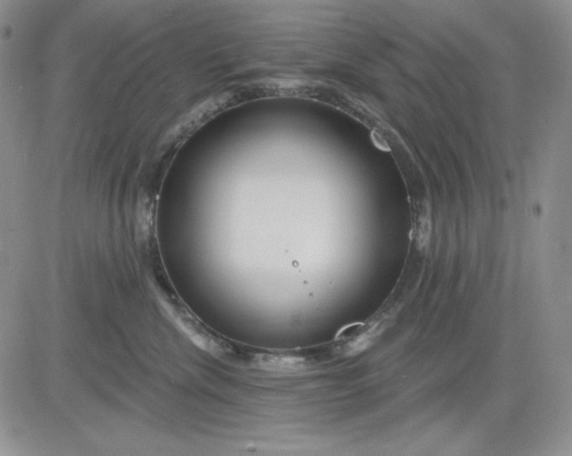 X0000081420476200701261558