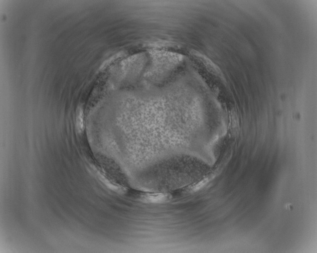 X0000081420479200701261558