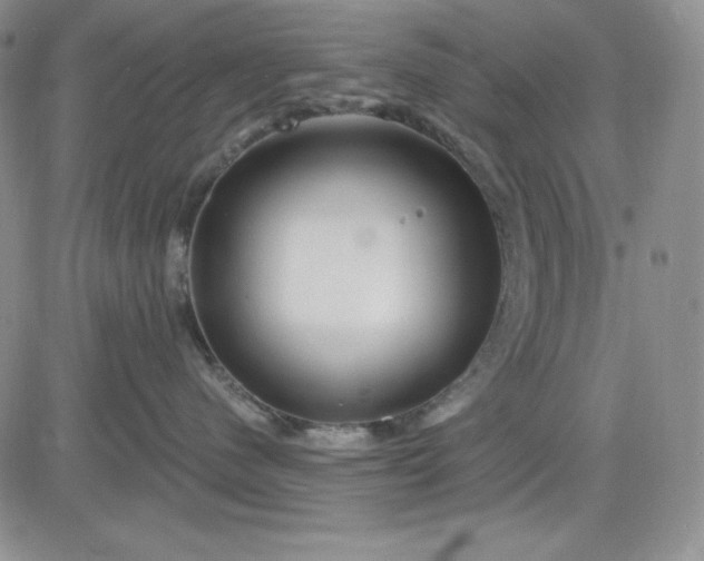 X0000081420480200701261558