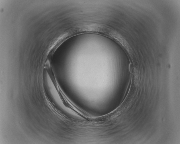 X0000081420482200701261558