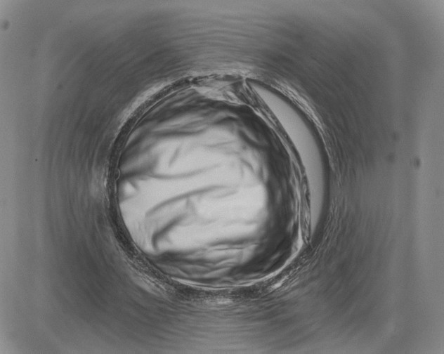 X0000081420483200701261558