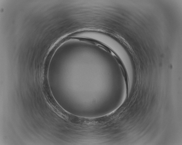 X0000081420484200701261558