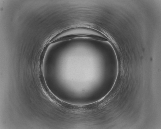 X0000081420485200701261557