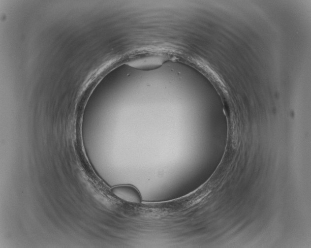 X0000081420486200701261557