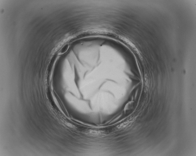 X0000081420487200701261557