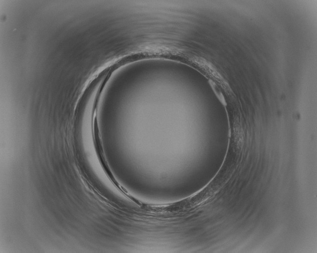 X0000081420488200701261557