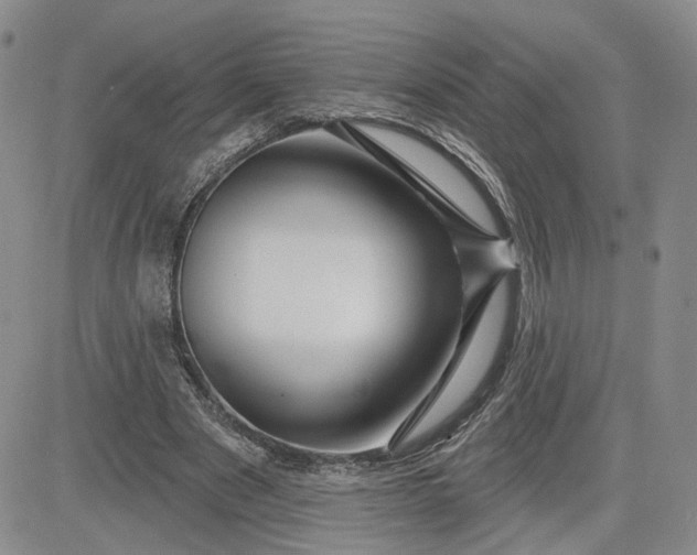 X0000081420489200701261557